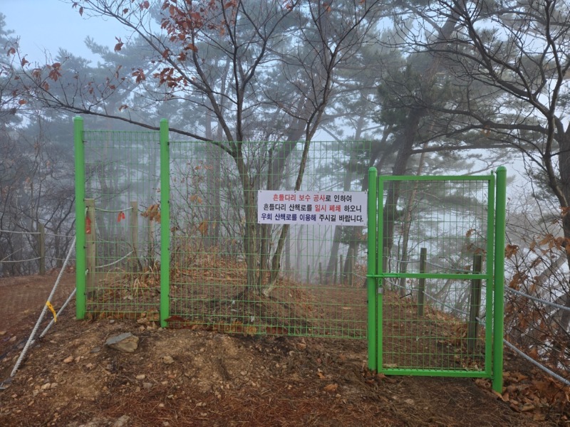 해솔길 흔들다리.jpg