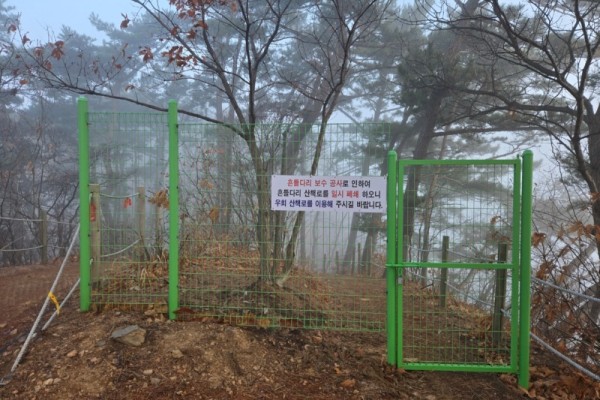 해솔길 흔들다리.jpg