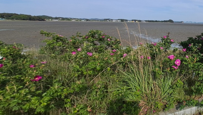 김선철 2편11.jpg