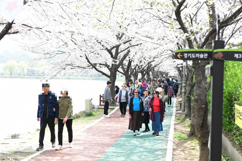 화랑유원지 수놓은 봄날의 향연1.jpg