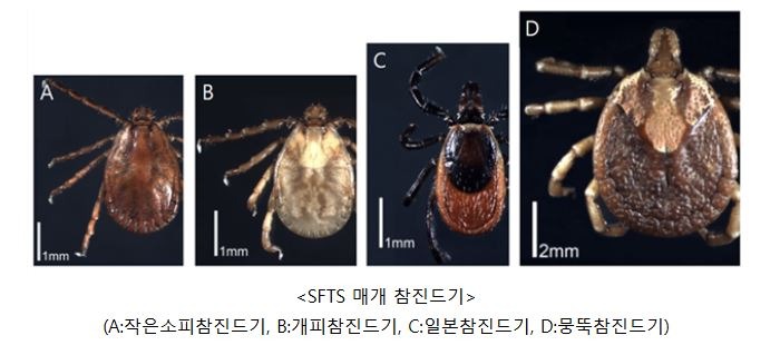안산시, 봄철 야외 활동 시 참진드기 피해 예방 철저 당부.JPG