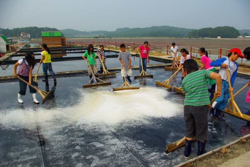 섬마을 선생님 2007년 7월 18일수요일 mbc 로그인 싱싱뉴스 갯벌과 염전이 교실 촬영장면.JPG