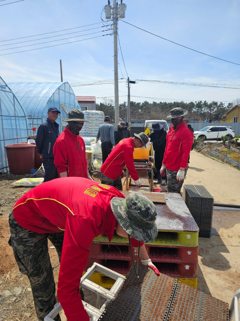 백령면 해병대 6여단, 백령면 농번기 일손 돕기 실시)-1.jpeg