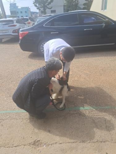 안산시, 5월 7일부터 반려동물 광견병 예방접종 실시.jpg