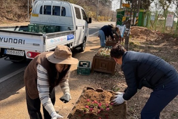 대부동, 따뜻한 봄 맞아 봄꽃 식재.jpg