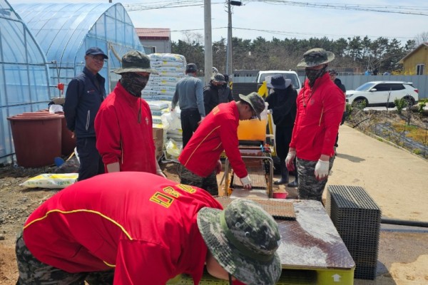 백령면 해병대 6여단, 백령면 농번기 일손 돕기 실시)-1.jpeg