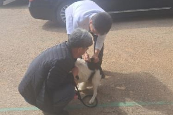 안산시, 5월 7일부터 반려동물 광견병 예방접종 실시.jpg