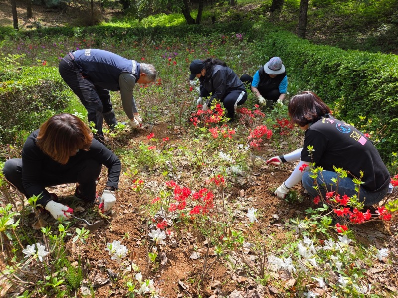 백운동 주민자치회, 백운공원 환경정비 실시.jpg