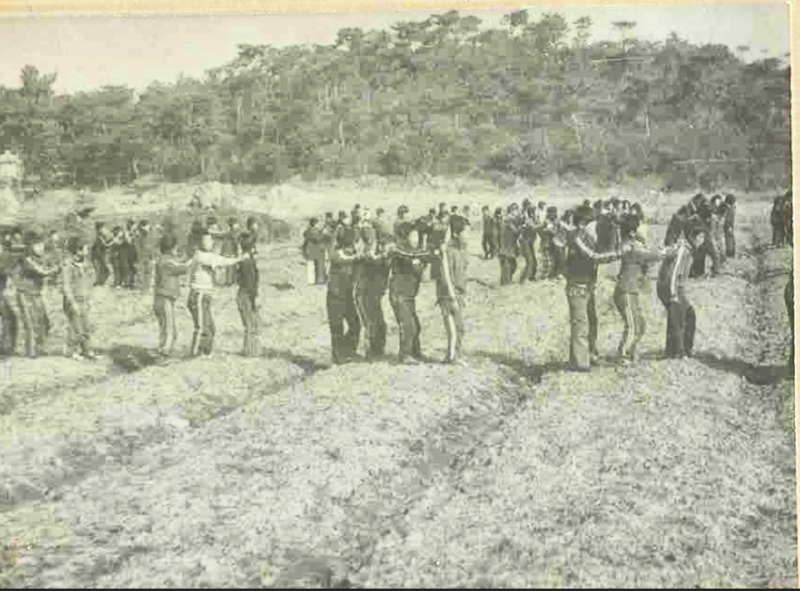 1960년대 철새따 찾아온 총각선생님 근무 당시 대남초등학교 보리밟기 지원 모습[4-하] 3.PNG