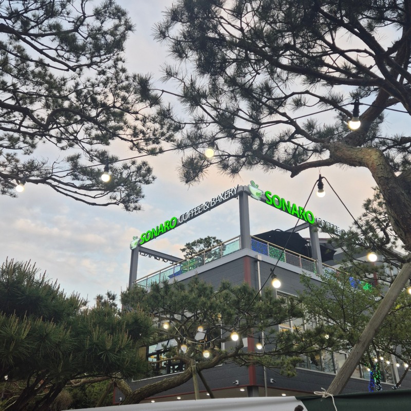 소나로 주간전경.jpg