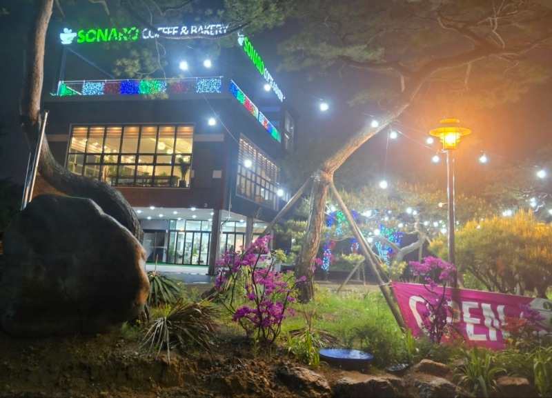 소나로 야간전경.jpg