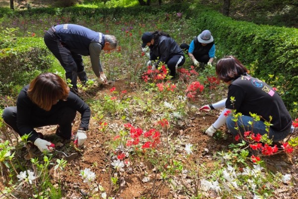 백운동 주민자치회, 백운공원 환경정비 실시.jpg
