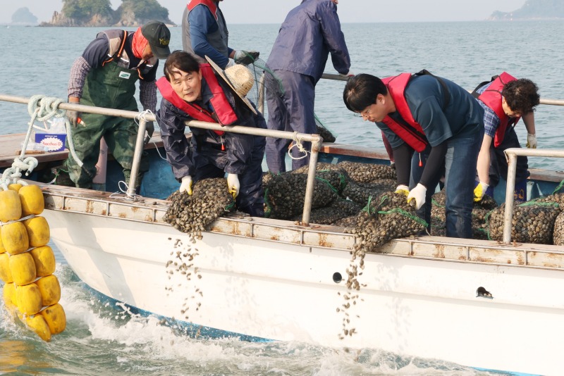 옹진군, 체험어장 내 바지락 및 동죽 종자 47톤 살포)-1.jpg