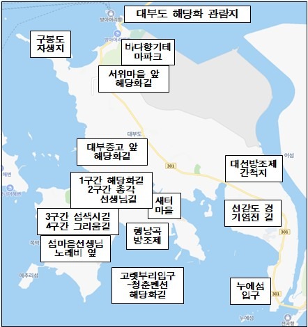 섬마을 선생님 대부저널 9회 그림-대부도  해당화 관람지.jpg