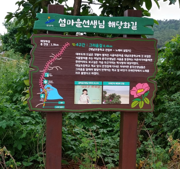 섬마을 선생님 해당화길 4구간 그리움길 (1).jpg