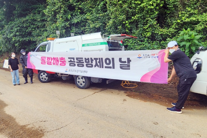 옹진군  돌발해충 확산 방지 위해 .jpeg