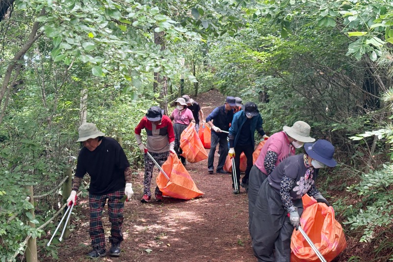연평면, 피서철 맞이 임도주면 및 대나루 해안가.jpg