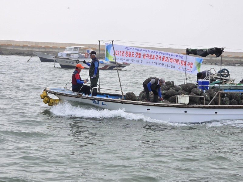 옹진군 장봉도 갯벌,습지보호구역 종묘방류사업)1.jpg
