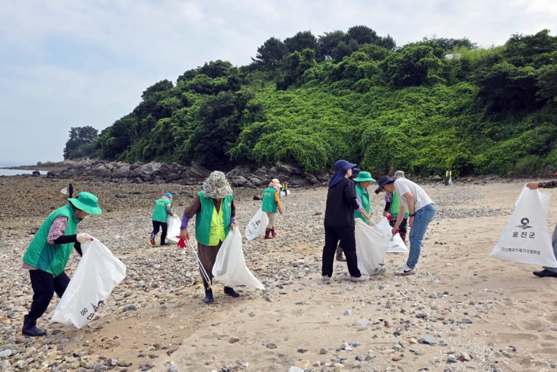 자월면, 하니께 인근 클린업데이 실시)-1.jpg