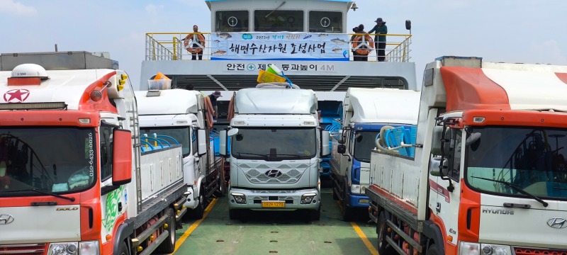 안산시, 대부도 연안 해상에 조피볼락 치어 방류.jpg