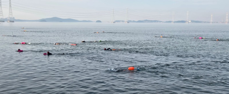 바다수영객을 해난사고자로 오인신고 ‘해프닝’.jpg