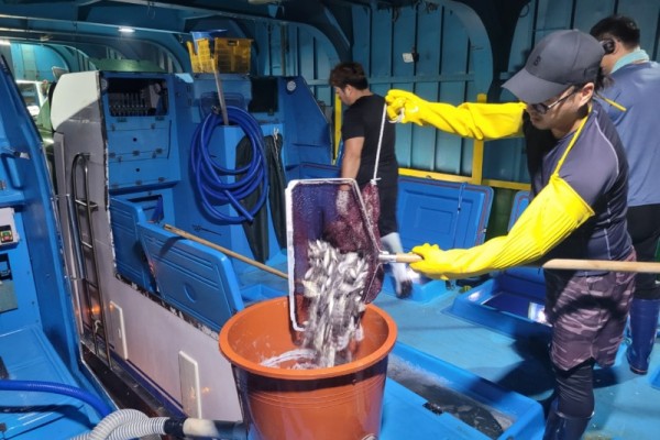 조피볼락 종자 방류 백령,대청권역).jpg