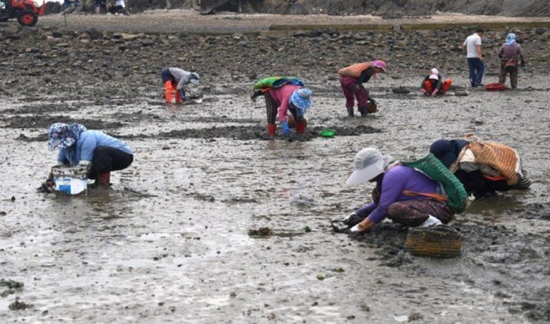 종현 바지락+조업 (1).jpg