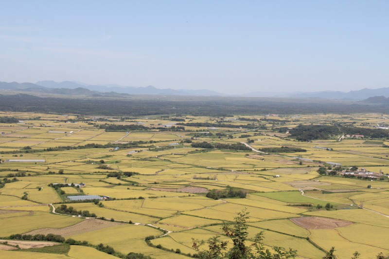 철원평야.jpg