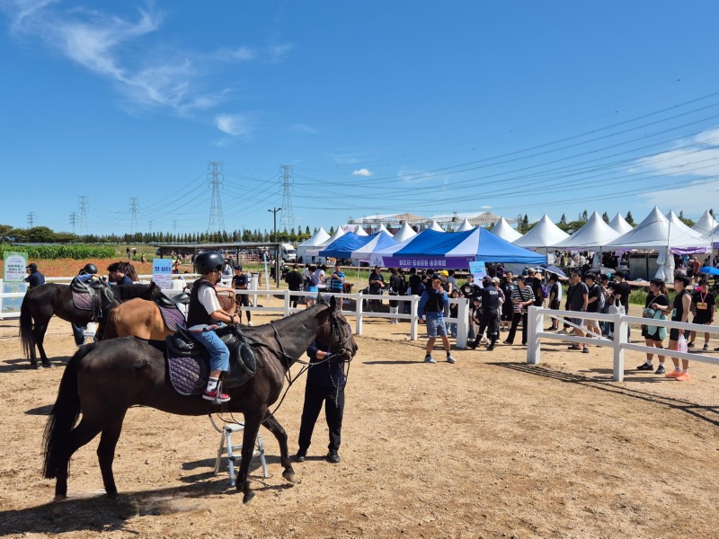 안산시  대부포도축제서‘도심 속 승마 축제’… 1 700여 명 참여.jpg