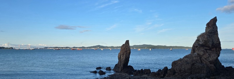 1면 단독사진 쭈꾸미 배 확대사진.jpg