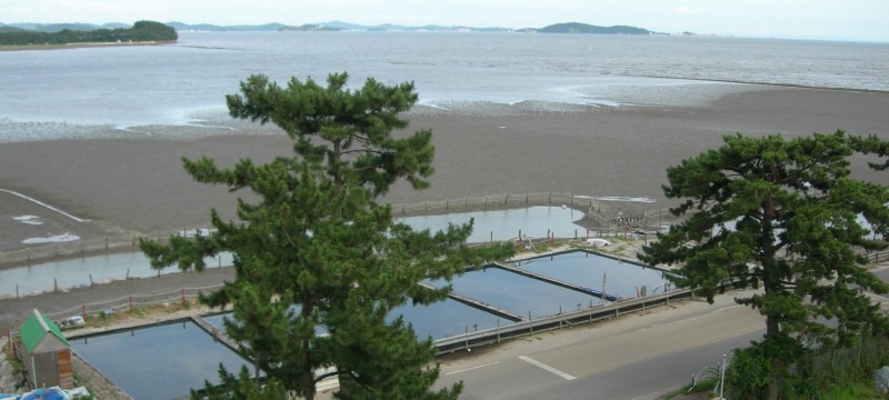 2008년 대남초등학교 옥상 전망대에서 바라 본 염전과 고랫부리 람사르 습지.jpg