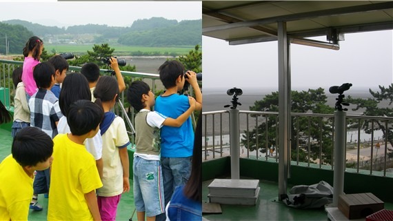 2008년 06월 13일 대남초등학교 전망대에서 바닷새와 게를 관찰하는 모습.jpg