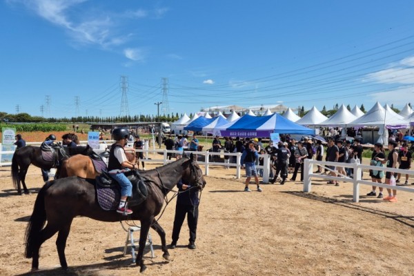 안산시  대부포도축제서‘도심 속 승마 축제’… 1 700여 명 참여.jpg