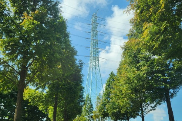 대부도의 에펠탑.jpg