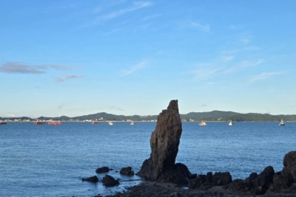 1면 단독사진 쭈꾸미 배 확대사진.jpg