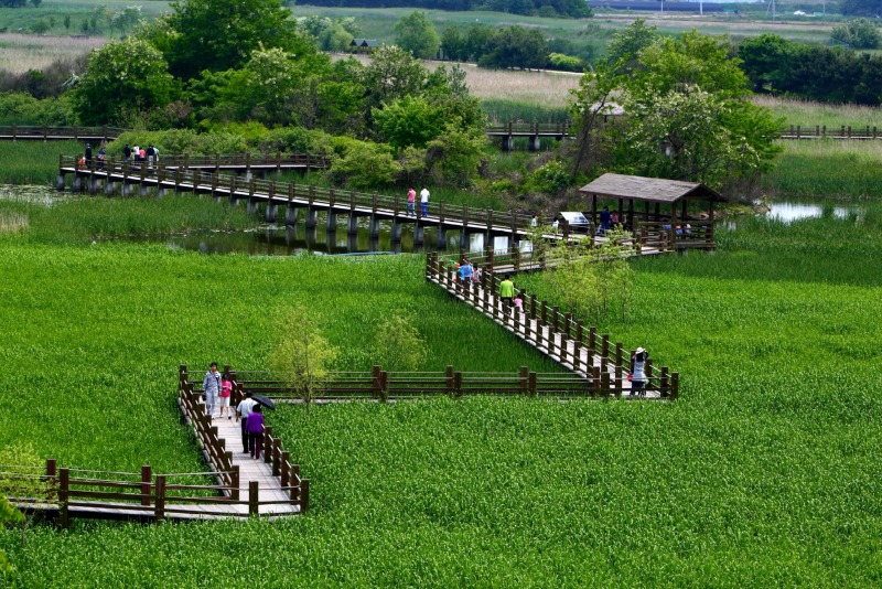 [사진1] 안산7경 안산갈대습지.jpg