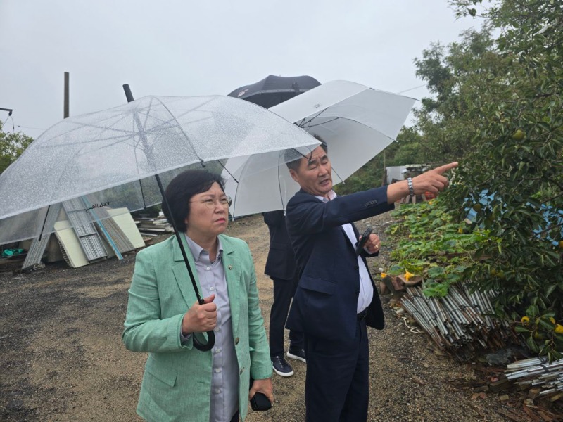 김현 의원 장상지구.jpg