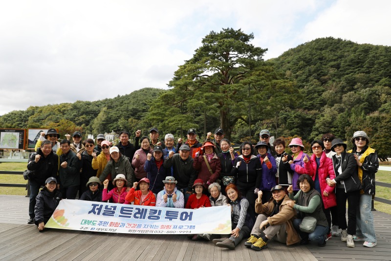 저널트레킹투어 정이품송.jpg