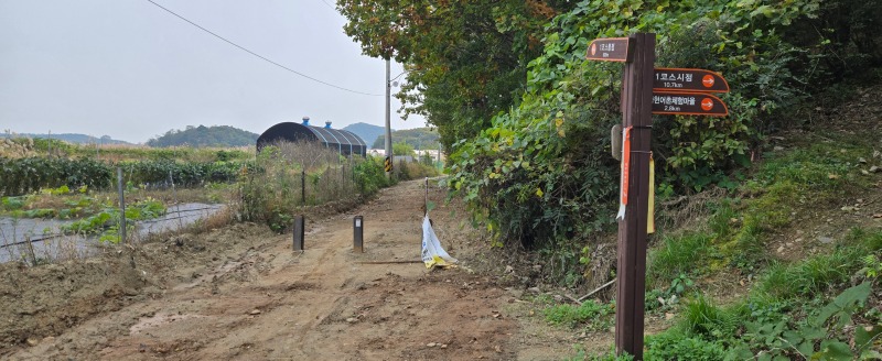 도로문제 H빔.jpg