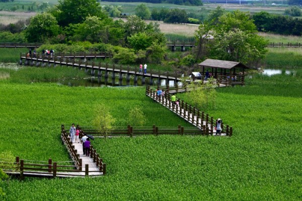 [사진1] 안산7경 안산갈대습지.jpg