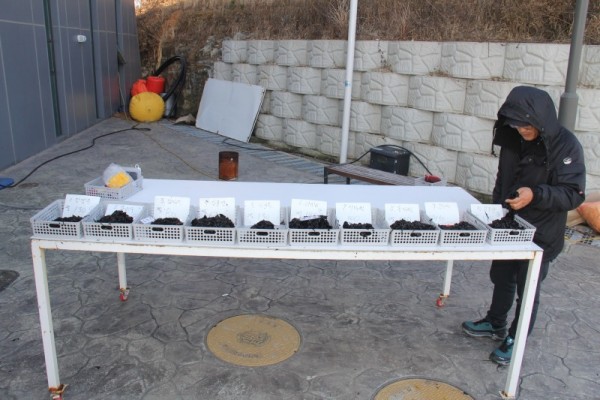 1-1김 경매 현장.JPG