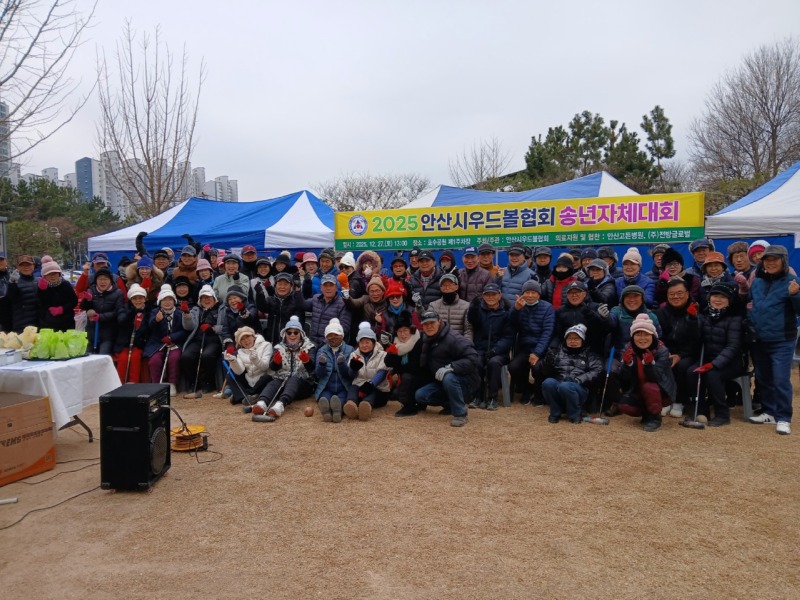 3안산시 우드볼협회.jpg