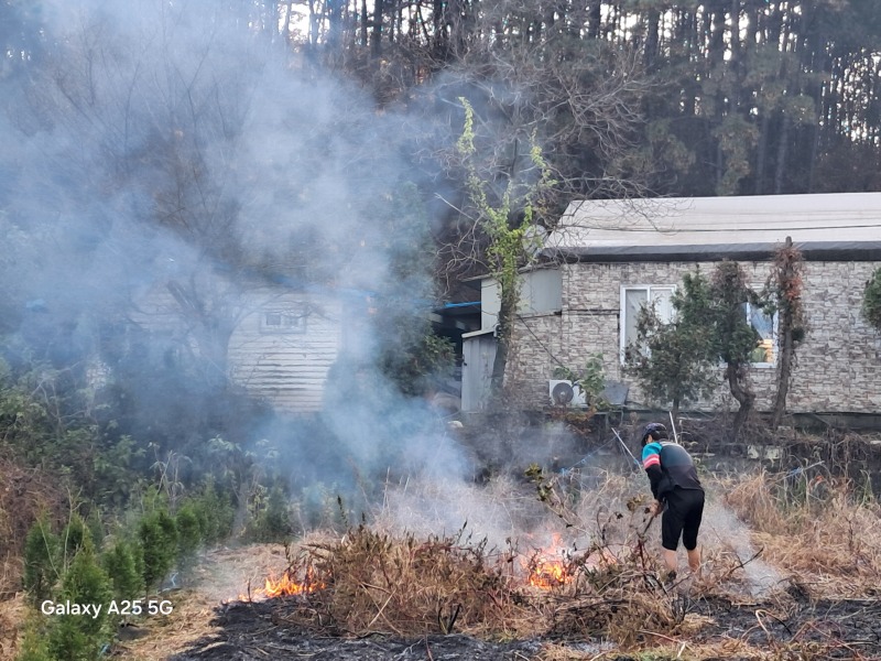안산시 단원구, 대부도 폐기물 불법소각 집중단속… 307건 적발·계도.jpg